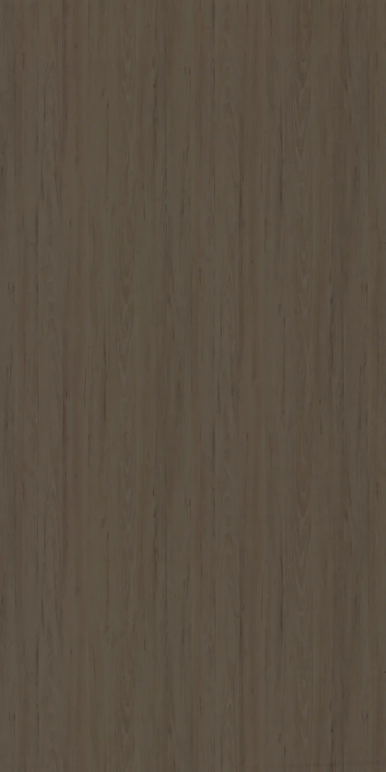 PATO BARGISH OAK